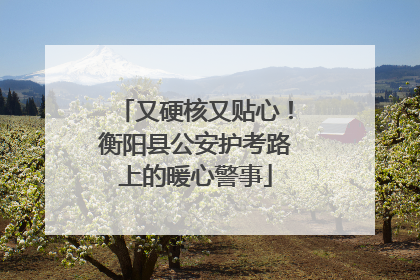 又硬核又贴心！衡阳县公安护考路上的暖心警事