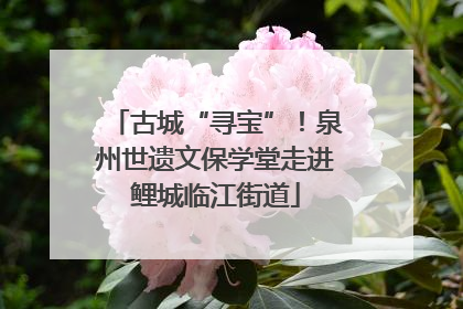 古城“寻宝”！泉州世遗文保学堂走进鲤城临江街道