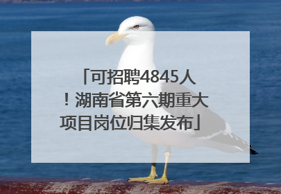 可招聘4845人！湖南省第六期重大项目岗位归集发布