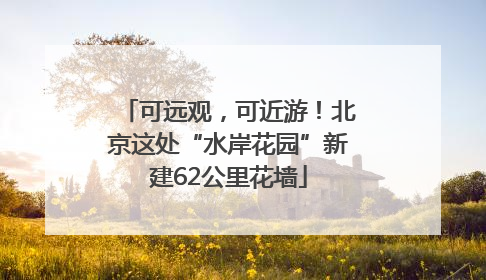 可远观，可近游！北京这处“水岸花园”新建62公里花墙