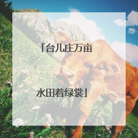 台儿庄万亩水田着绿裳