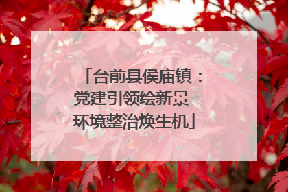 台前县侯庙镇：党建引领绘新景 环境整治焕生机