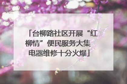 台柳路社区开展“红柳情”便民服务大集 电器维修十分火爆