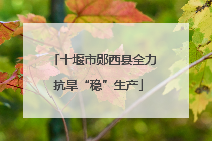 十堰市郧西县全力抗旱“稳”生产