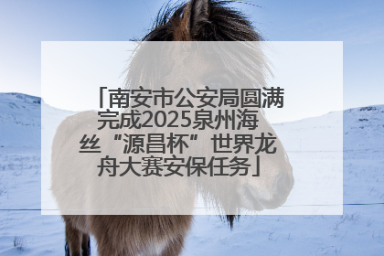 南安市公安局圆满完成2025泉州海丝“源昌杯”世界龙舟大赛安保任务