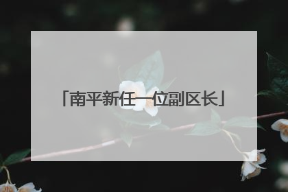 南平新任一位副区长