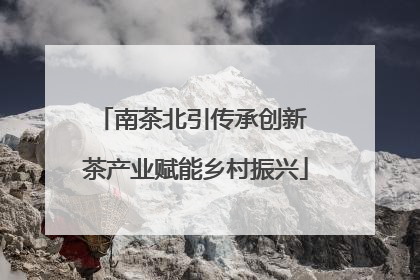南茶北引传承创新 茶产业赋能乡村振兴