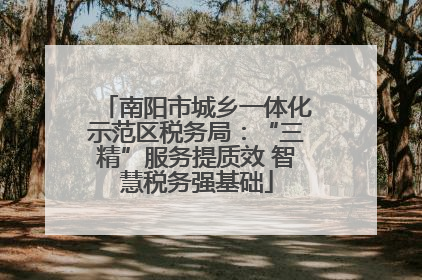 南阳市城乡一体化示范区税务局：“三精”服务提质效 智慧税务强基础