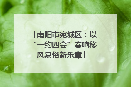 南阳市宛城区：以“一约四会”奏响移风易俗新乐章