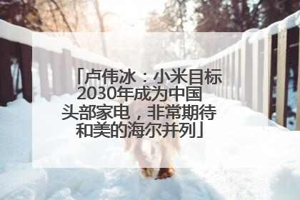 卢伟冰：小米目标2030年成为中国头部家电，非常期待和美的海尔并列
