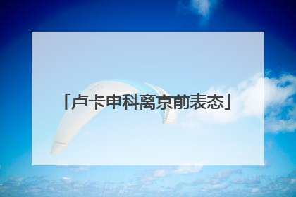 卢卡申科离京前表态