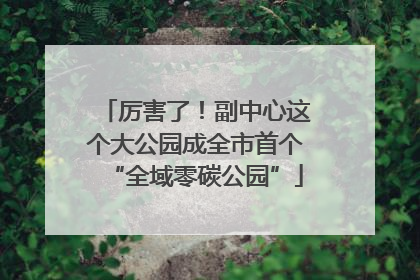 厉害了！副中心这个大公园成全市首个“全域零碳公园”