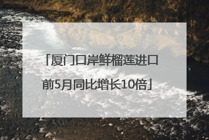 厦门口岸鲜榴莲进口 前5月同比增长10倍