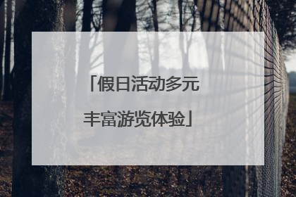 假日活动多元 丰富游览体验