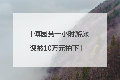傅园慧一小时游泳课被10万元拍下