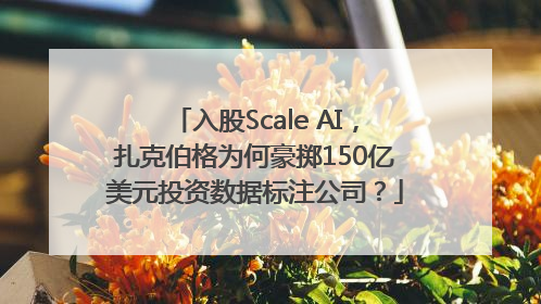入股Scale AI，扎克伯格为何豪掷150亿美元投资数据标注公司？