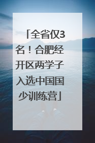 全省仅3名！合肥经开区两学子入选中国国少训练营
