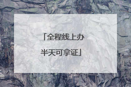 全程线上办 半天可拿证