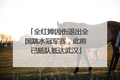 全红婵因伤退出全国跳水冠军赛，此前已随队抵达武汉