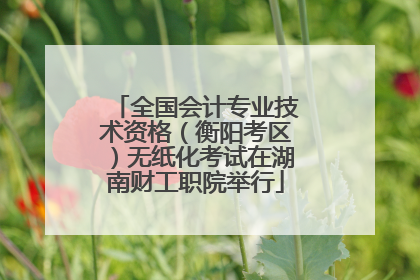 全国会计专业技术资格（衡阳考区）无纸化考试在湖南财工职院举行