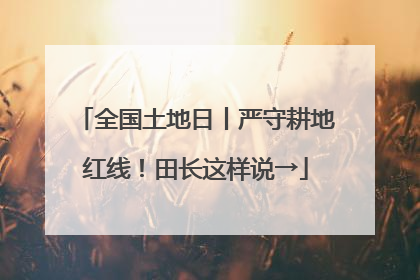 全国土地日丨严守耕地红线！田长这样说→