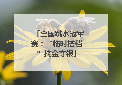 全国跳水冠军赛：“临时搭档”摘金夺银