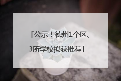 公示！德州1个区、3所学校拟获推荐