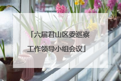 六届君山区委巡察工作领导小组会议