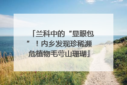 兰科中的“显眼包”！内乡发现珍稀濒危植物毛萼山珊瑚