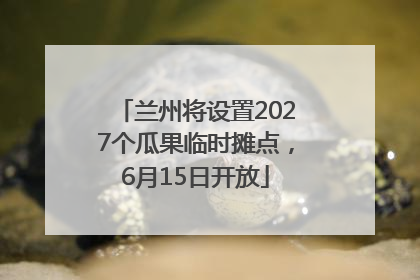兰州将设置2027个瓜果临时摊点，6月15日开放