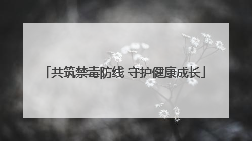 共筑禁毒防线 守护健康成长