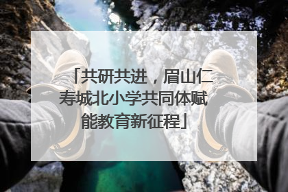 共研共进，眉山仁寿城北小学共同体赋能教育新征程