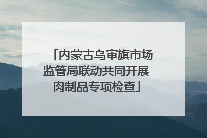 内蒙古乌审旗市场监管局联动共同开展肉制品专项检查