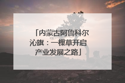 内蒙古阿鲁科尔沁旗：一棵草开启产业发展之路