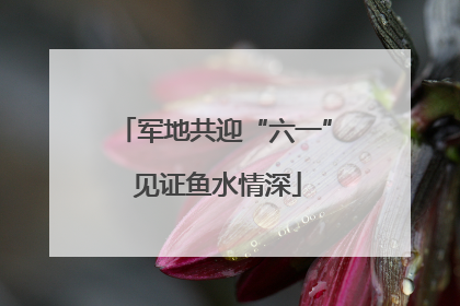 军地共迎“六一” 见证鱼水情深