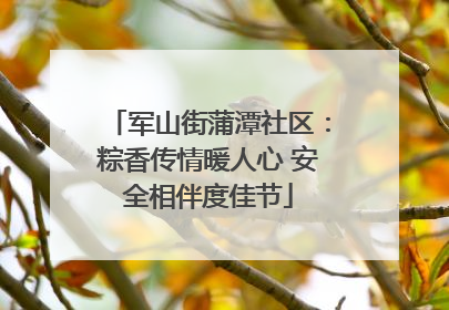 军山街蒲潭社区：粽香传情暖人心 安全相伴度佳节