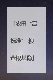 农田“高标准” 粮仓根基稳
