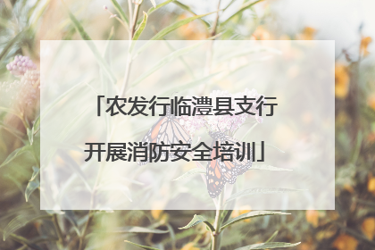 农发行临澧县支行开展消防安全培训