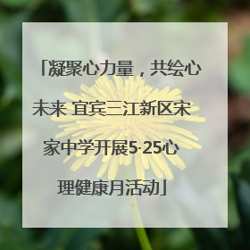 凝聚心力量，共绘心未来 宜宾三江新区宋家中学开展5·25心理健康月活动