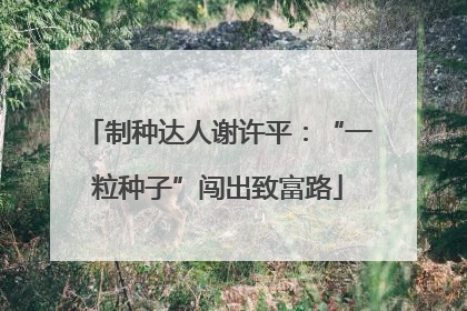 制种达人谢许平：“一粒种子”闯出致富路