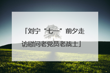 刘宁“七一”前夕走访慰问老党员老战士