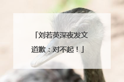 刘若英深夜发文道歉：对不起！