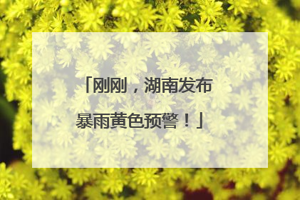 刚刚，湖南发布暴雨黄色预警！