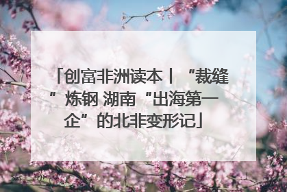 创富非洲读本丨“裁缝”炼钢 湖南“出海第一企”的北非变形记