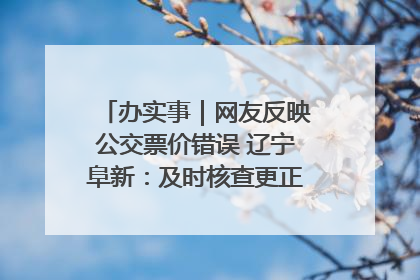 办实事｜网友反映公交票价错误 辽宁阜新：及时核查更正 加强实时巡检