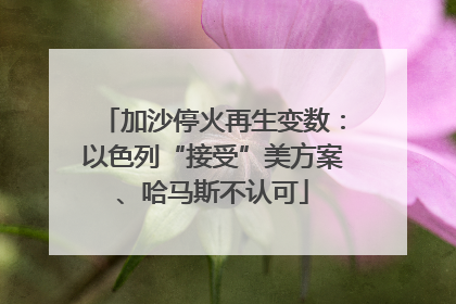 加沙停火再生变数：以色列“接受”美方案、哈马斯不认可