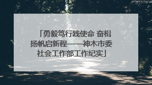 勇毅笃行践使命 奋楫扬帆启新程——神木市委社会工作部工作纪实