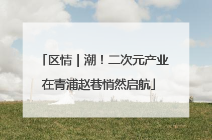 区情｜潮！二次元产业在青浦赵巷悄然启航