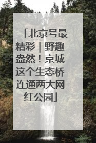 北京号最精彩｜野趣盎然！京城这个生态桥连通两大网红公园