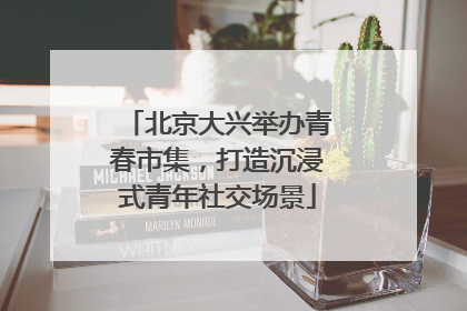 北京大兴举办青春市集，打造沉浸式青年社交场景